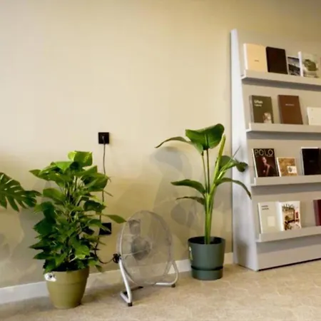 Superlativo Trinidad Málaga